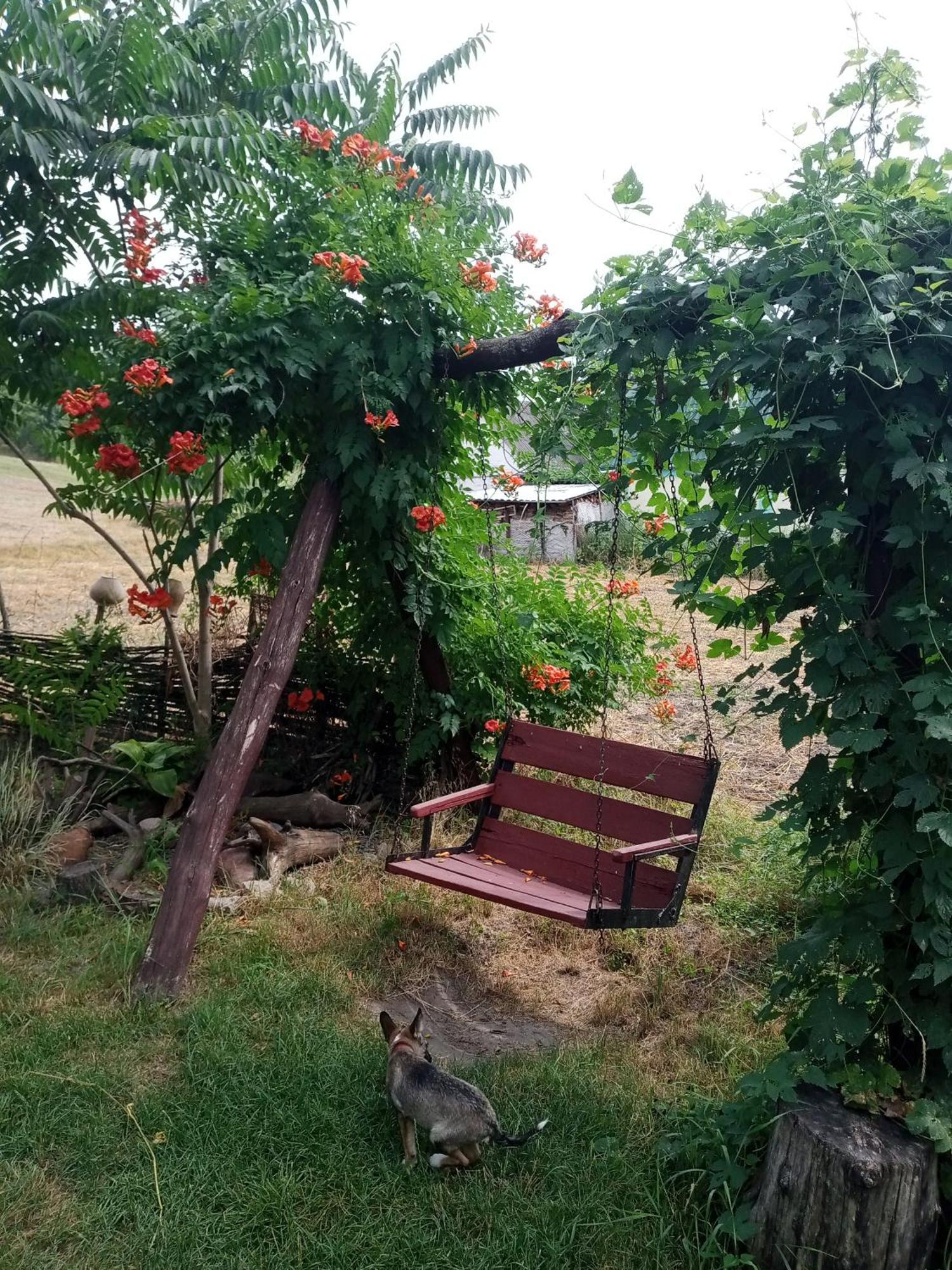 Дибинецькі Карпати Dybintsy Exterior foto