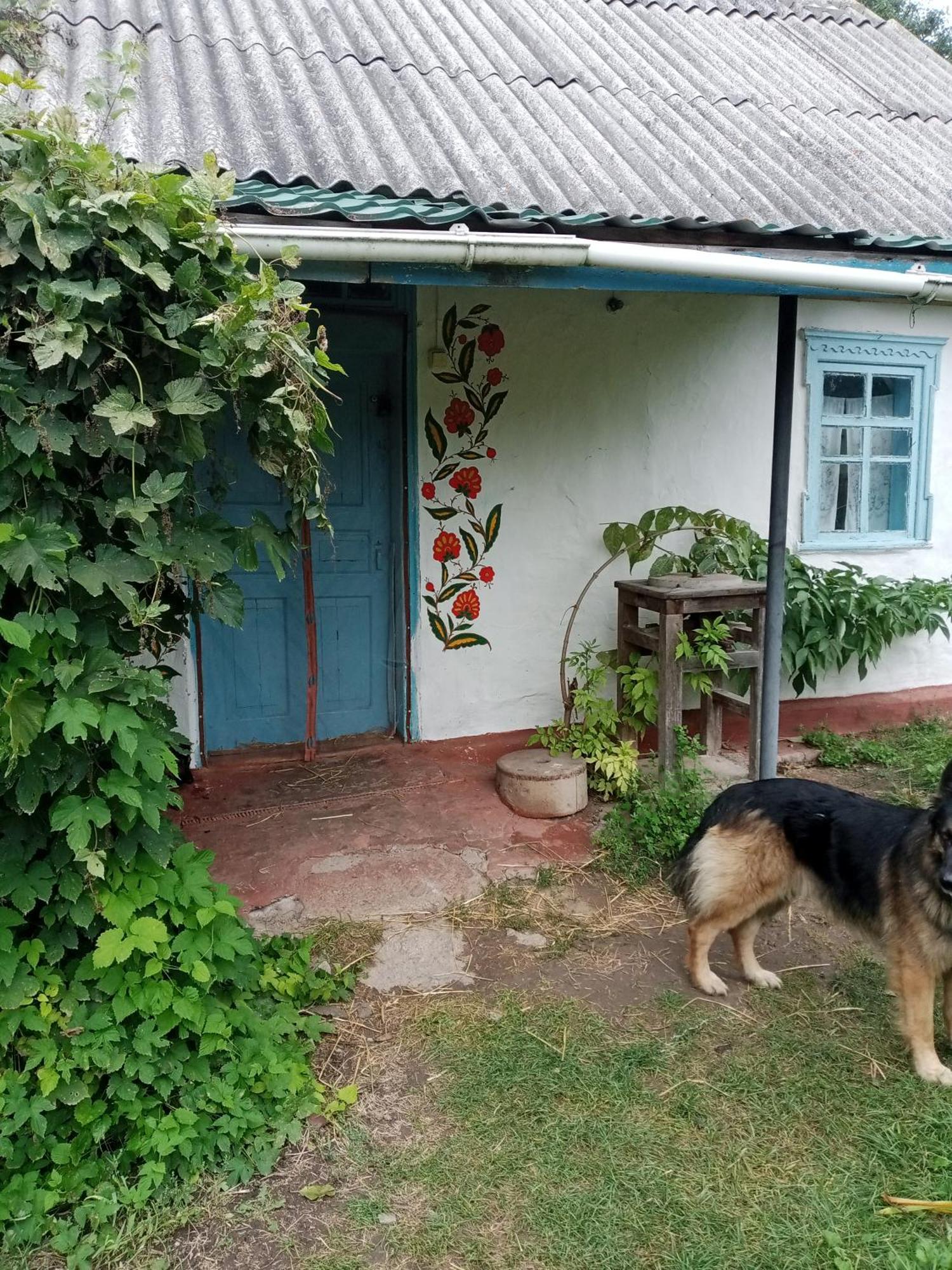 Дибинецькі Карпати Dybintsy Exterior foto