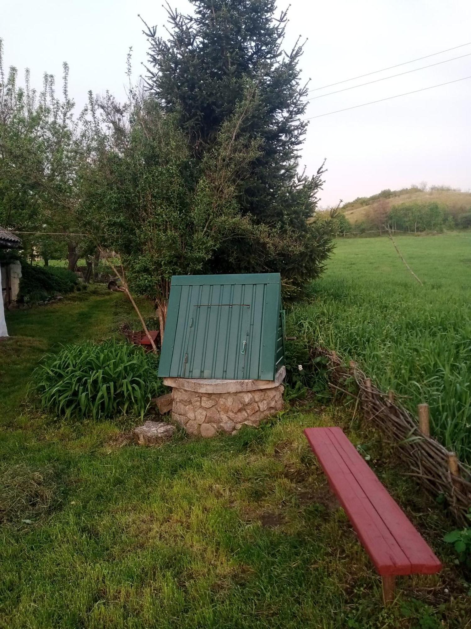 Дибинецькі Карпати Dybintsy Exterior foto