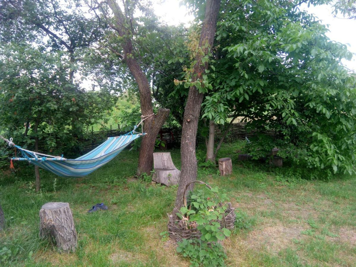 Дибинецькі Карпати Dybintsy Exterior foto